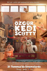 Özgür Kedi Scotty