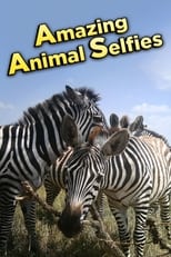 Klick! Tierische Selfies