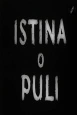 Poster for The Truth About Pula 