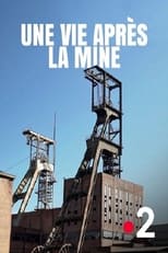 Poster for Une vie après la mine