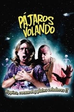 Poster for Pájaros volando 