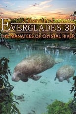 Poster for Adventure Everglades 3D - The Manatees of Crystal River