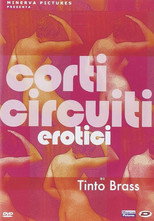 Corti circuiti erotici