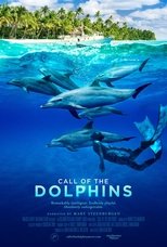 Call of the Dolphins Call of the Dolphins