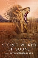 Poster for Secret World of Sound with David Attenborough