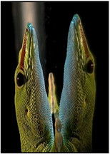 Beyond Invention (2004) poster