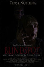 BLINDSPOT poster