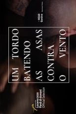 A Thrush Flapping Its Wings Against the Wind poster