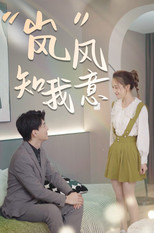 “岚”风知我意 poster