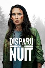 Disparu dans la nuit poster