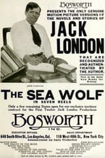 Poster for The Sea Wolf