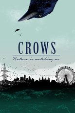 Poster for Crows - Nature Is Watching Us