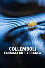 Collemboli - L'armata sotterranea