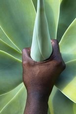 Plant Magic Plant Magic