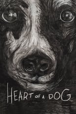 Poster for Heart of a Dog 