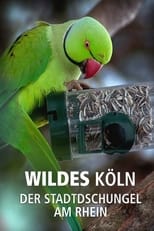 Poster for Wildes Köln: Der Stadtdschungel am Rhein 