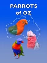 Poster for Parrots of Oz
