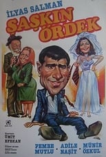 Poster for Şaşkın Ördek