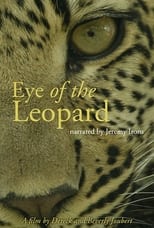 Eye of the Leopard: Revealed