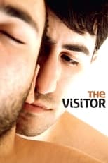 Poster for The Visitor 