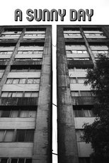 A Sunny Day