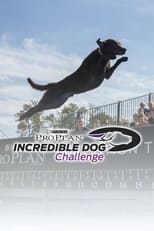 Poster for The Incredible Dog Challenge Tour