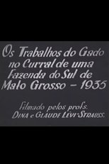 Cattle Work in the Corral of a Farm in Southern Mato Grosso