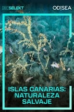 Poster for Islas Canarias Naturaleza Salvaje