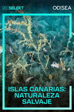 Islas Canarias: naturaleza salvaje poster