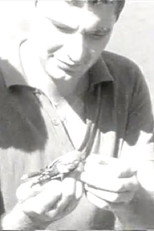 Ozhelanda