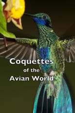 Poster for Coquettes of the Avian World