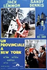 Poster di Un provinciale a New York