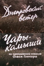 Днепровский ветер. Чары-камыши. poster
