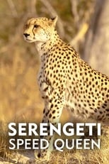 Poster for Serengeti Speed Queen