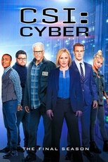 Poster for CSI: Cyber Season 2