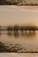 Landscape as Landscape 11