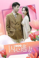 总裁的囚心逃妻 poster