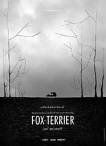 Poster for Fox-Terrier 