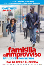 Poster di Famiglia all'improvviso - Istruzioni non incluse