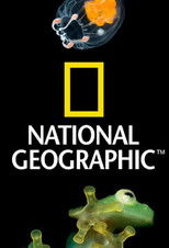 National Geographic 100 Years poster