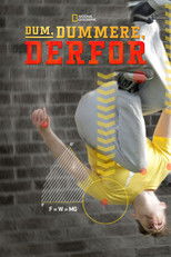 Dum, Dummere, Derfor