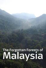 The Forgotten Forests of Malaysia poster