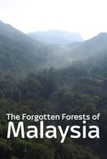 Poster for The Forgotten Forests of Malaysia 