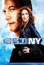 Poster for CSI: NY Season 2