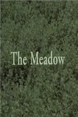 Poster for The Meadow 