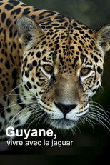 Guyane, vivre avec le jaguar poster