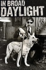 Poster for In Broad Daylight 