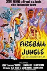 Fireball Jungle (1968)
