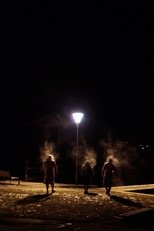 Die Saunagänger vom Attersee