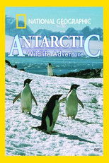 Antarctic Wildlife Adventure poster